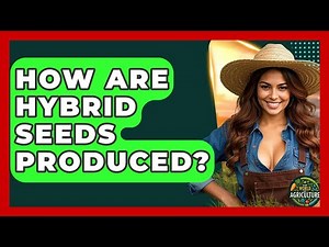 How Are Hybrid Seeds Produced? - The World of Agriculture