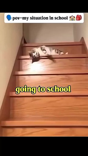 Bingo Game Strategies for Maximum Fun