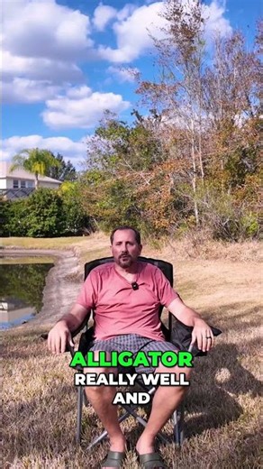 Comfy XL Chair: Review with Alligator Safety Tips! #shorts
