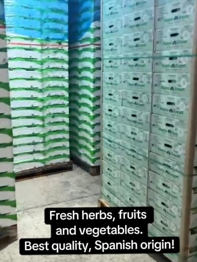 Premium Spanish Fresh Produce Exported to the EU and UK