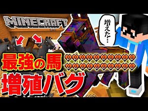 【マイクラ】ステータス最強のウマがバグって２倍に増えたんだけどwwww原因教えて…【マインクラフト】#3