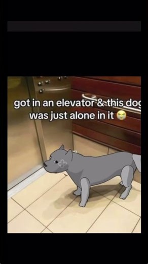 Lemon Demon- a mask of my own face (pebble edit) #dandysworld #lemondemon