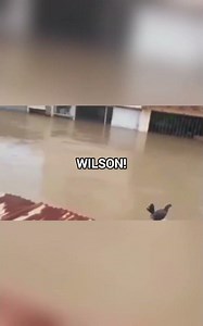 #sound #duolingo #funny #shorts #viraltiktok