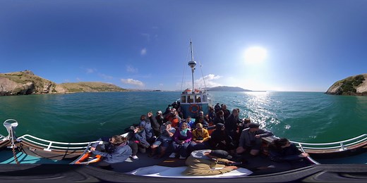 Take a moment to take in the sights and sounds of Monarch Wildlife Cruises. You might even spot a New Zealand fur seal putting on a show, "porpoising" for the stoked souls onboard. #DoSomethingNewNZ this summer and experience this #dunnerstunner must-do attraction. More info: http://dunedinnz.co/3hXokjE #wilddunedin #dunedinnz | Dunedin NZ