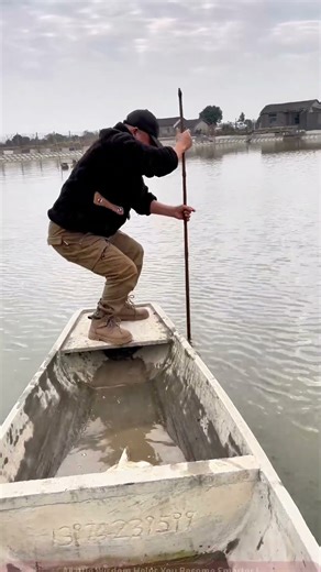 Soft-Shell Turtle Capture on the Lake Boat: The Skillful Operations of an Experienced Fisherman!