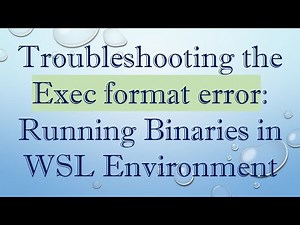 Troubleshooting the Exec format error: Running Binaries in WSL Environment