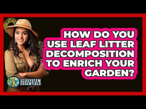 How Do You Use Leaf Litter Decomposition To Enrich Your Garden? - Ecosystem Essentials