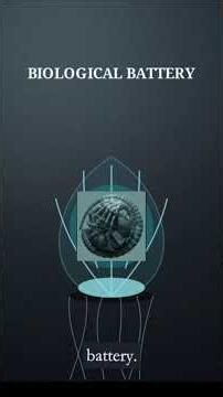 The Xenomorph Egg's Hidden Anatomy #alien #xenomorph