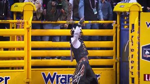 15K views · 122 reactions | We are keeping the party bouncing with 3 new rodeos all week only on Cowboy Channel + | CowboyChannel | Facebook