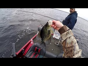 Long-line Trolling for Crappie (CRAPPIE MASTERS 2019 ST. JOHNS RIVER TOURNAMENT PREFISHING)