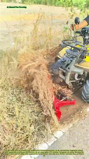 Die Straßenrandpflege: Ein Arbeiter bedient eine Freischneidemaschine am Straßenrand