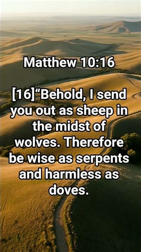 Jesus Disciples #newchristian #worshipmusic #christianmusic #faith #bibleverse