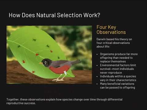 LE 3.6 How do different evolutionary mechanisms especially natural selection change allele freque...