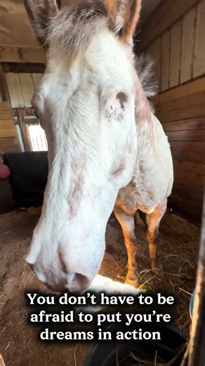 so grateful for all the opportunities 🫶🏻