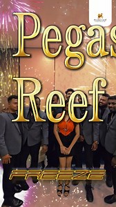 517 reactions · 28 shares | Ring in the New Year with an electrifying night at Pegasus Reef’s Crimson's Night! Join the sensational Band Freeze as they light up the stage with unforgettable live music, setting the perfect tone for a magical countdown to 2025. Don’t miss the party of the year – Crimson Eve at Pegasus Reef! #CrimsonsNight #NYE2025 #PegasusReef #LiveMusic #CelebrateInStyle" | Pegasus Reef - Wattala | Facebook