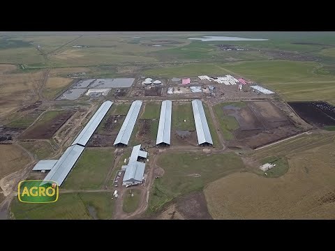 Adeco Agro: La apuesta integral y sustentable del tambo más grande de Argentina (#900 2020-10-31)