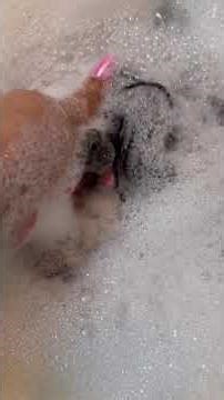 How to clean extensions before attaching to your hair.