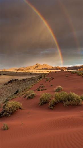 753 reactions · 73 shares | Explore Namibia’s wild wonders  Venture into Namibia’s most celebrated destinations, each offering a unique encounter with the country’s diverse landscapes and wildlife. ️Sossusvlei Skeleton Coast 煉Etosha National Park Damaraland Caprivi Strip Fish River Canyon Let’s dream up your perfect Namibian escape together. | Rhino Africa | Facebook