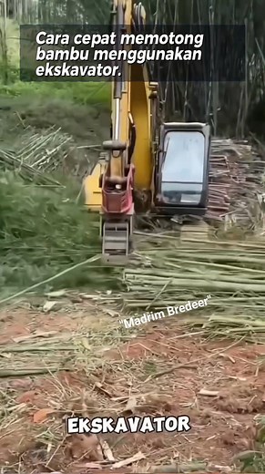 Cara cepat memotong bambu menggunakan Excavator. Quick way to cut bamboo using an excavator. #BambooCutting #ExcavatorWork #SmartOperator #ModernTechnique #ConstructionTools | Tirto Bumi
