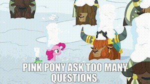 Pink Pony ask too many questions.
