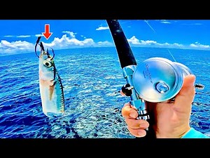 Fishing CUT BAIT! in the GULF of MEXICO from my *24ft* BAY BOAT