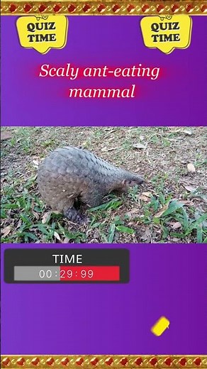 Discover the Fascinating World of Pangolins 🦔🌍: Unique Facts and Conservation Efforts