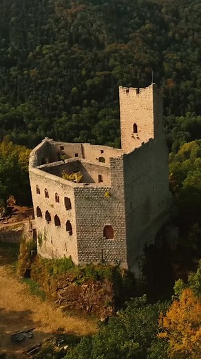 Le château de Spesbourg, un des plus beaux châteaux d'Alsace 🏰⚜️🇨🇵 #france #patriote #patrimoine #alsace