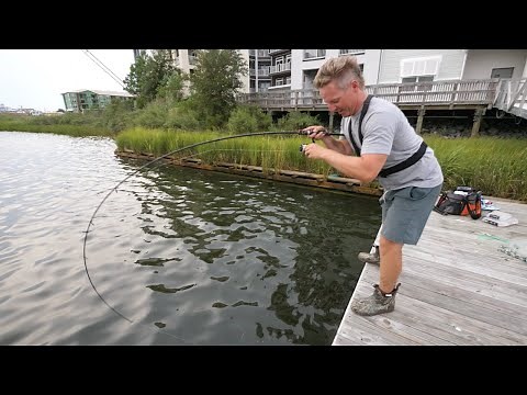 EPIC BANK FISHING on a DOCK! Nonstop Redfish + HOW TO (Catch + Cook)