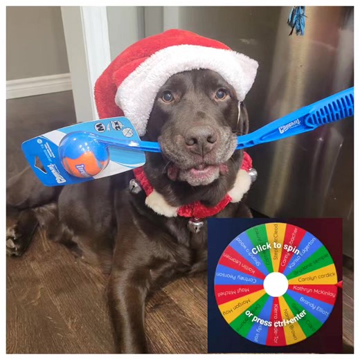 Congratulations to @Kaitlin Leamen and Winslow (Throttle pup) 🎉🎁🐾 They are the winners of this giveaway!! (Sorry we were delayed announcing...I was so sick!) I'll message you to arrange delivery.. as I'd like to come visit Winslow! Maybe we can go for a walk around Harrison Park! 🐾 #itsalabthing #labsofinstagram #worldoflabs #labmom #dogfam #instalab #dogmomlife #dogmom #chocolatelab #dogoftheday #furmom #labradorlove #labrador #talesofalab #labradorretriever #dogmomsofinstagram | Engine Pow