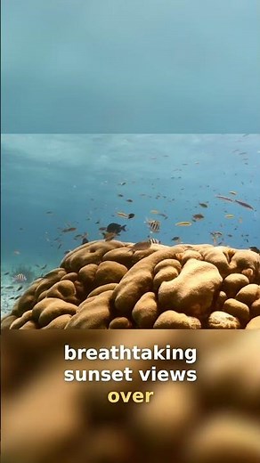 Bora Bora: Romantic Paradise for Couples