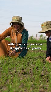 50 years of agri-food system transformation in the dry regions! 💧🌾🐐🚜 ICARDA’s research on climate-smart crops, resilient livestock, and sustainable water and soil systems is helping farmers thrive in the world’s harshest climates. #50YearsICARDA | International Center for Agricultural Research in the Dry Areas - ICARDA