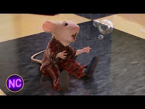 Stuart Little | A Ride in the Washer