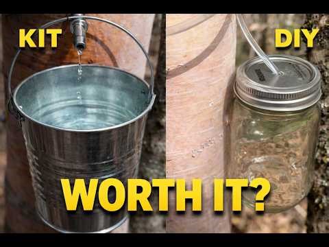 Can You Drink Water From a Tree? (DIY vs Kit Test)