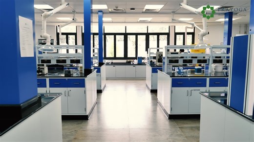 Prayoga Institute of Education Research on Instagram: "Chemical sciences research at Prayoga leads to a new research publication! A collaborative study led by Dr. Athavan Anand, Harshitha S and Kishorkumar has been published in the Journal of Molecular Structure. The work explores novel organic derivatives with implications for molecular design and optoelectronic applications. Read the full paper here: https://doi.org/10.1016/j.molstruc.2025.144948 #Prayoga #ChemicalSciences #ResearchPublication