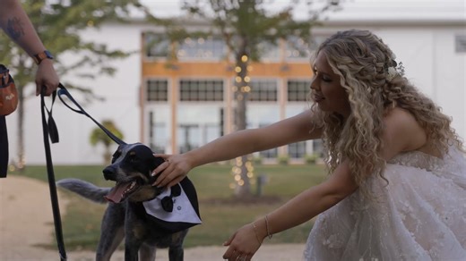 Wedding Party Photos + Dog Photos