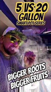 5 Gallon vs 20 Gallon Pots: Which Grows Bigger Cannabis Plants? (FULL TEST)