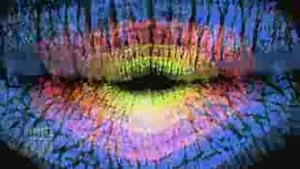 Free Stock Animation