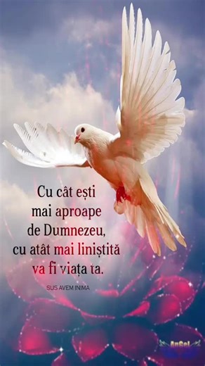 Video di Dora Pascalau (@dorapascalau) con original sound - Arab Christians ✝️