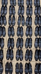 Rio in your Area 😍 | Yoon Studio