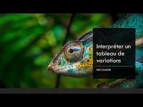 Interpréter un tableau de variations - Seconde