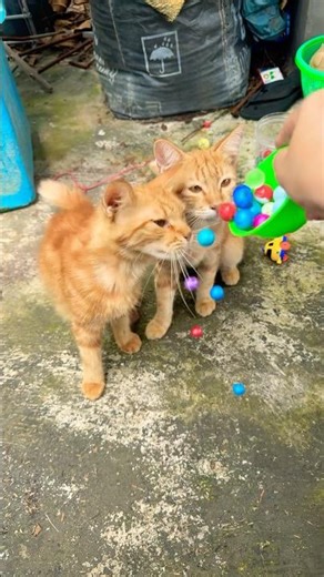 The three of them (grandfather and two grandchildren) playfully tease and prank each other in a s...