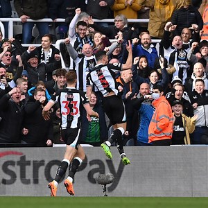 421K views · 10K reactions | Last time out against the Seagulls at St. James' Park  #NEWBHA | Newcastle United | Facebook