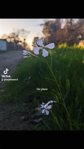 that smiley face knows something lol