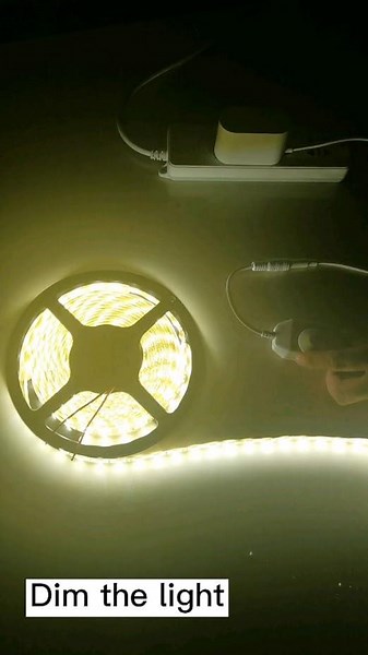 12v power supply with dimmer to adjust your light brightness