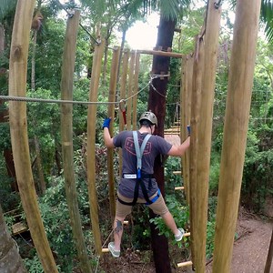 Ready for an unforgettable adventure at the Sunshine Coast? 🌳 Located at the iconic Big Pineapple, the TreeTop Challenge offers 120 epic challenges and 12 huge ziplines spread across 8 acres of stunning rainforest. Whether you’re a family looking for fun or an adventurer seeking thrills, this is the ultimate high ropes experience! Build confidence on our green courses or tackle the extreme black diamond circuits! Perfect for kids, teens, and adults alike. 📍Located at the Big Pineapple, Sunshin