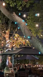 Enjoy our New European Menu & Kids Menu along with Georgian Menu at reduced prices.Have a great weekend!🇬🇪954-404-9654 | Argo Restaurant