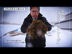 抗酸化きざみサイレージの作り方【DNW382】