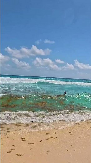 🇲🇽 Playa Delfines Cancun a Summer Day in Mexico