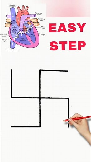 Easy Human Heart Diagram drawing class 10 CBSE Science diagram