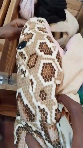 bought a python plushie for my bed room bet this'll look good #cuteplushie